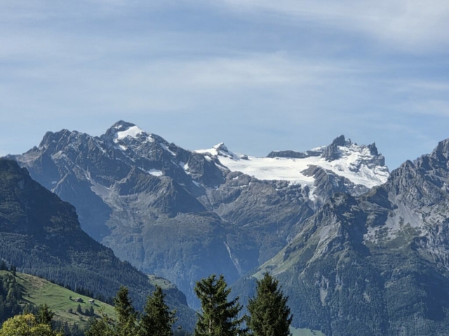 MrReise25