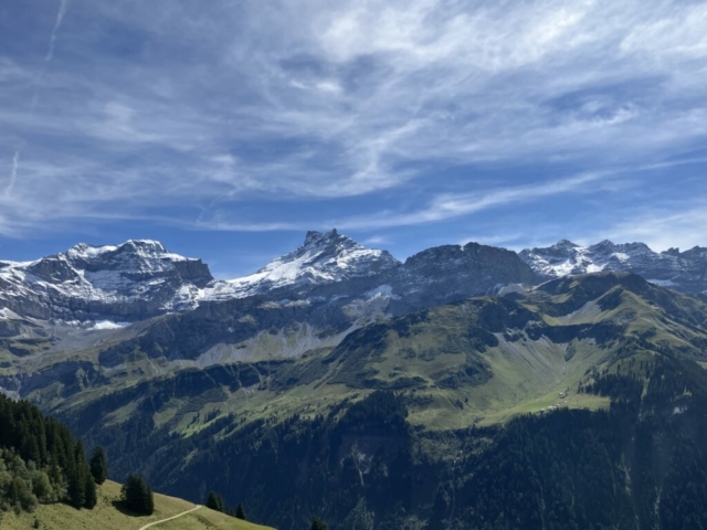 MrReise7