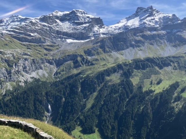 MrReise8